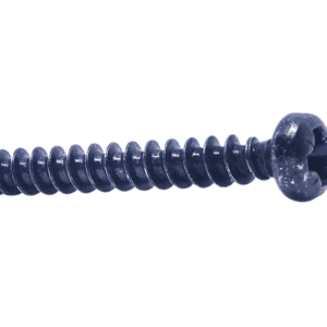 PT screw black