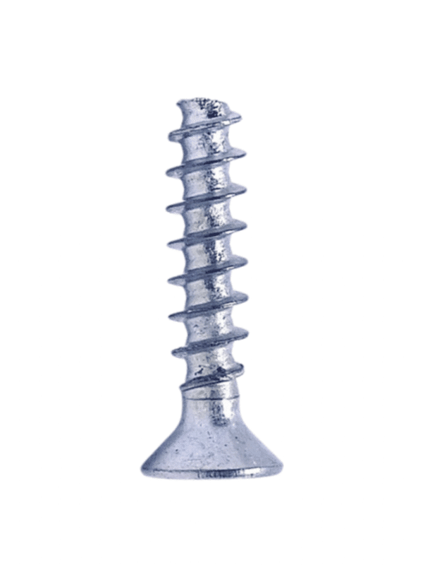 PT Type Screw