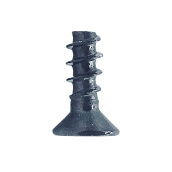 PT Type Screw black