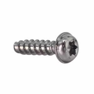 Screws For Plastics 3.0 X 12 Pan Flange Torx Stainless