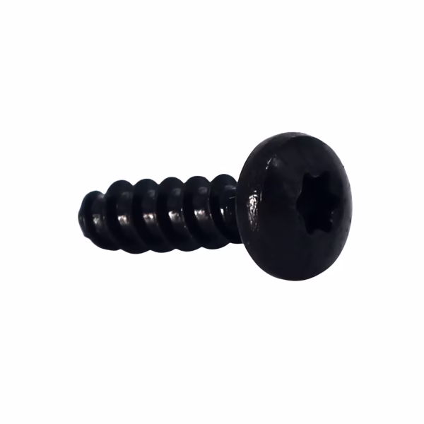 Screws For Plastics 3.5 X 12 Pan Torx 316 Stainless