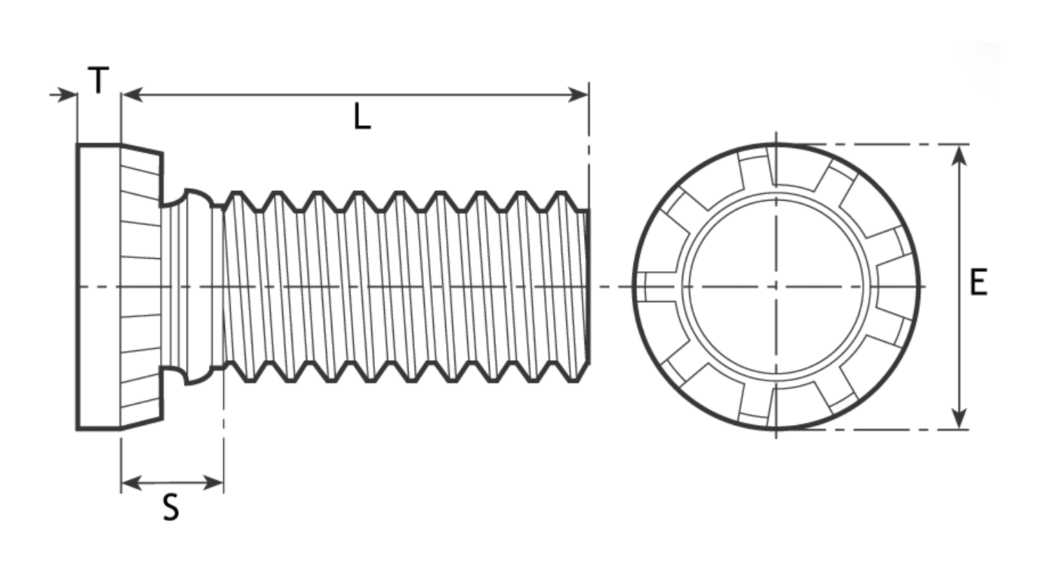 Diagram showing PHFH/HFHS measurements